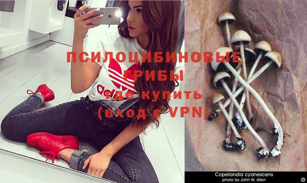молекула духа Алексеевка